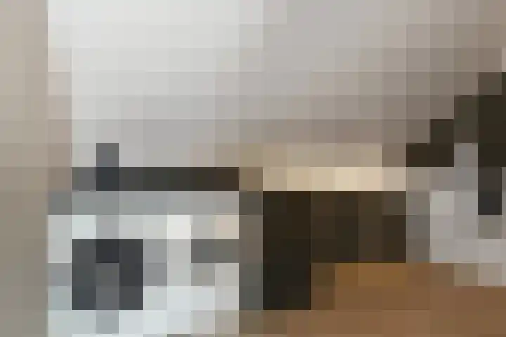 Pastoor Sickingstraat 123 Eindhoven thumbnail 32