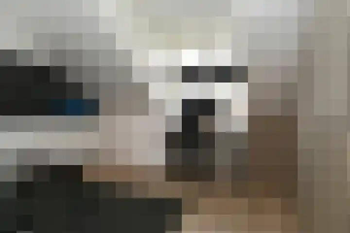 Pastoor Sickingstraat 123 Eindhoven thumbnail 35