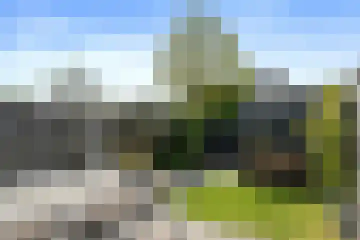 Pastoor Sickingstraat 123 Eindhoven thumbnail 36