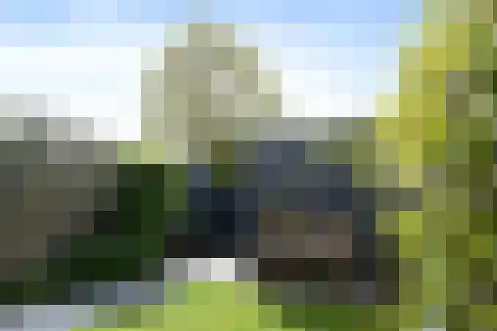 Pastoor Sickingstraat 123 Eindhoven thumbnail 39