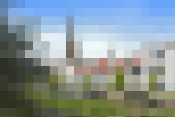 Pastoor Sickingstraat 123 Eindhoven thumbnail 5