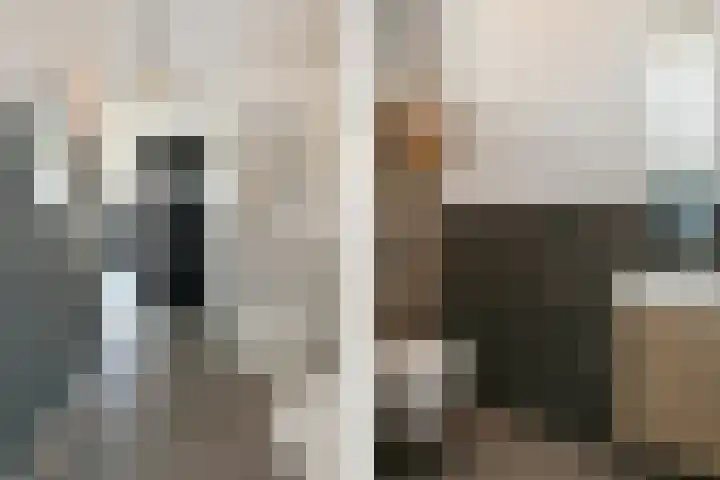 Pastoor Sickingstraat 123 Eindhoven thumbnail 8