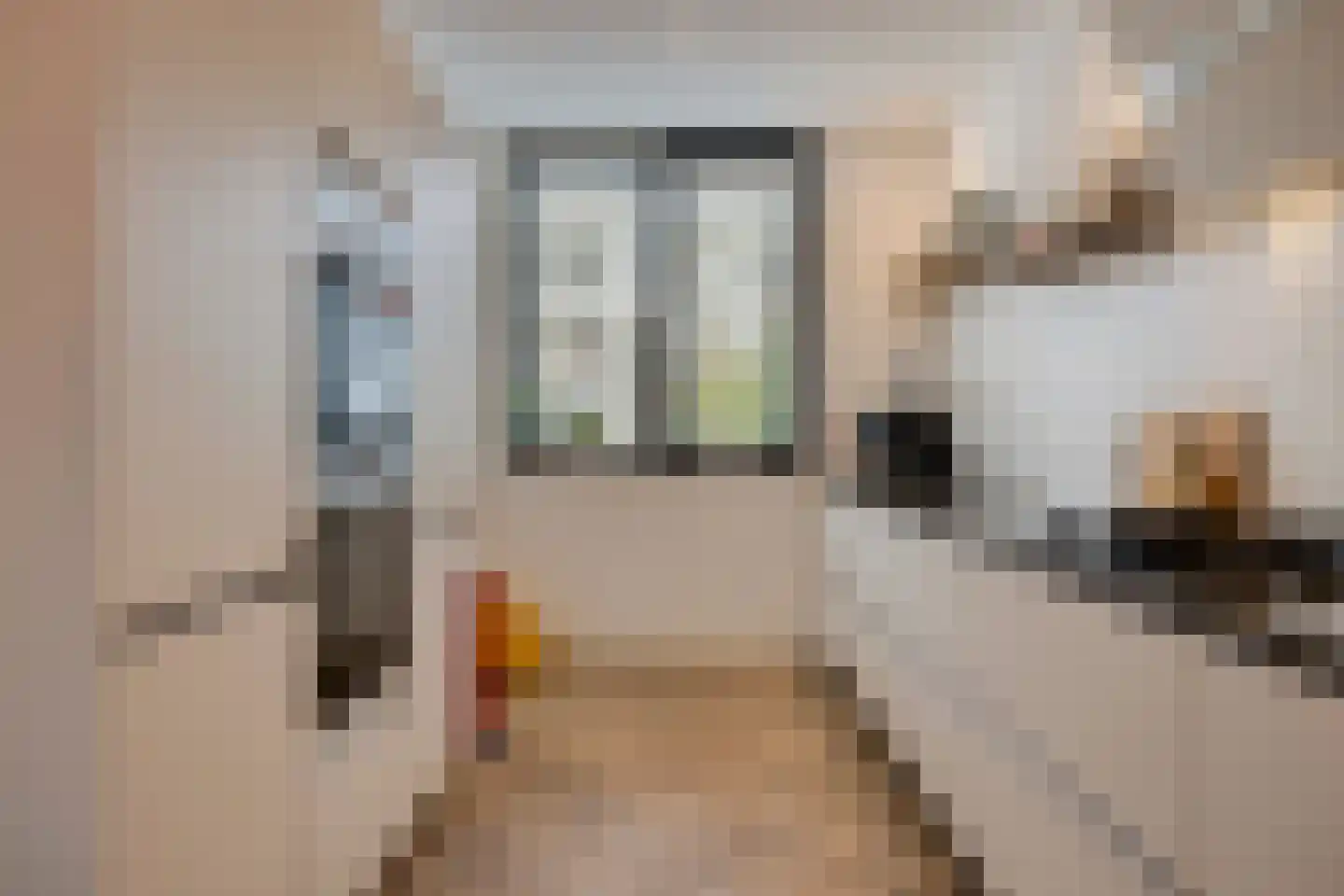 Pastoor Sickingstraat 129 Eindhoven thumbnail 15