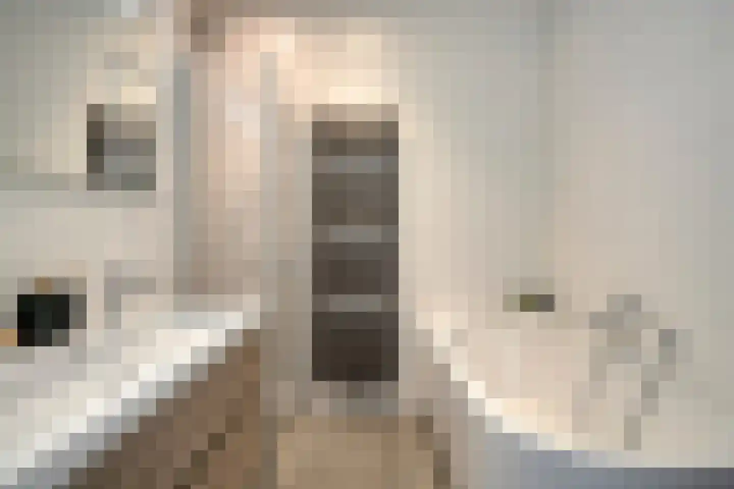 Pastoor Sickingstraat 129 Eindhoven thumbnail 21