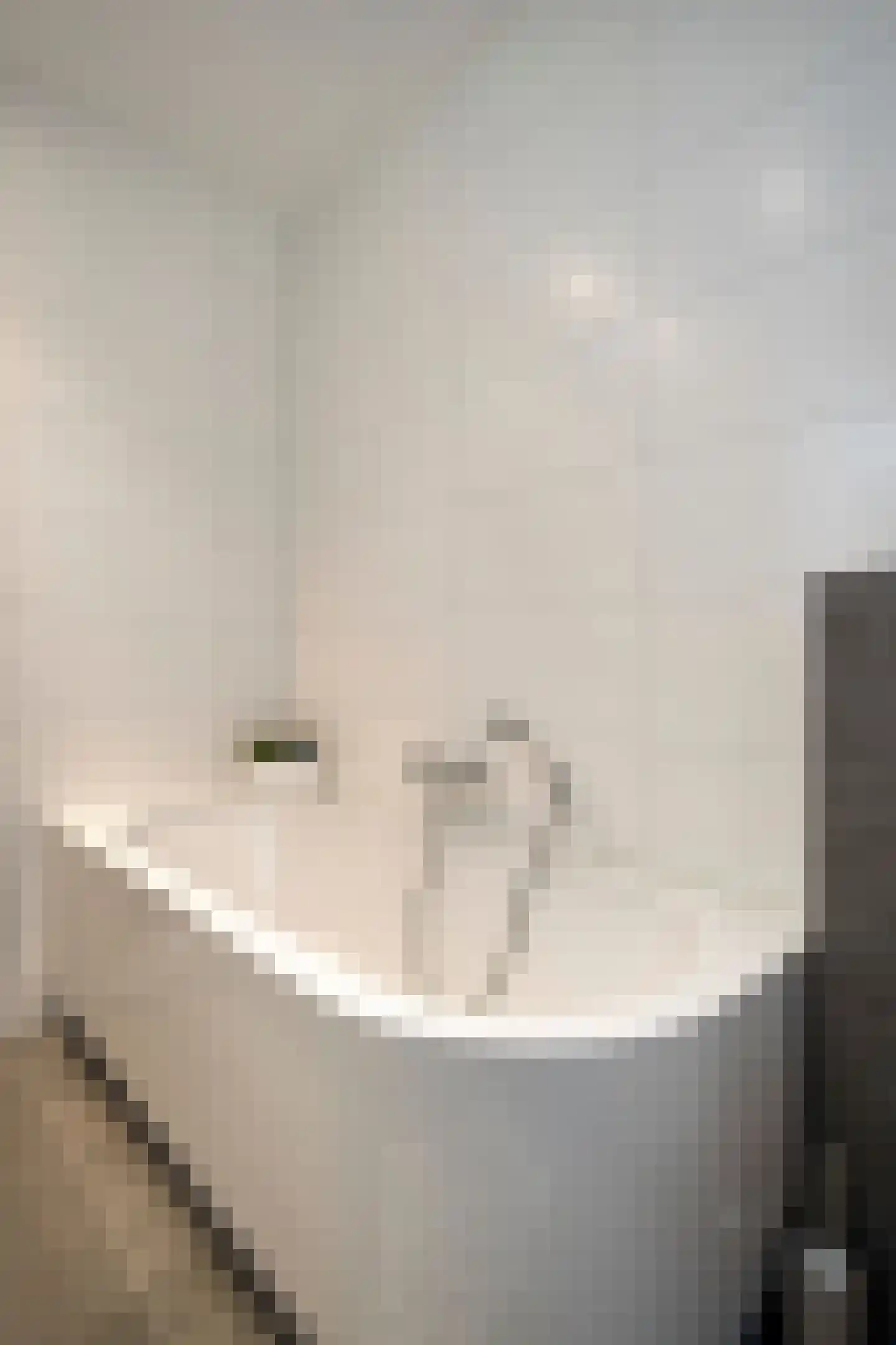 Pastoor Sickingstraat 129 Eindhoven thumbnail 22