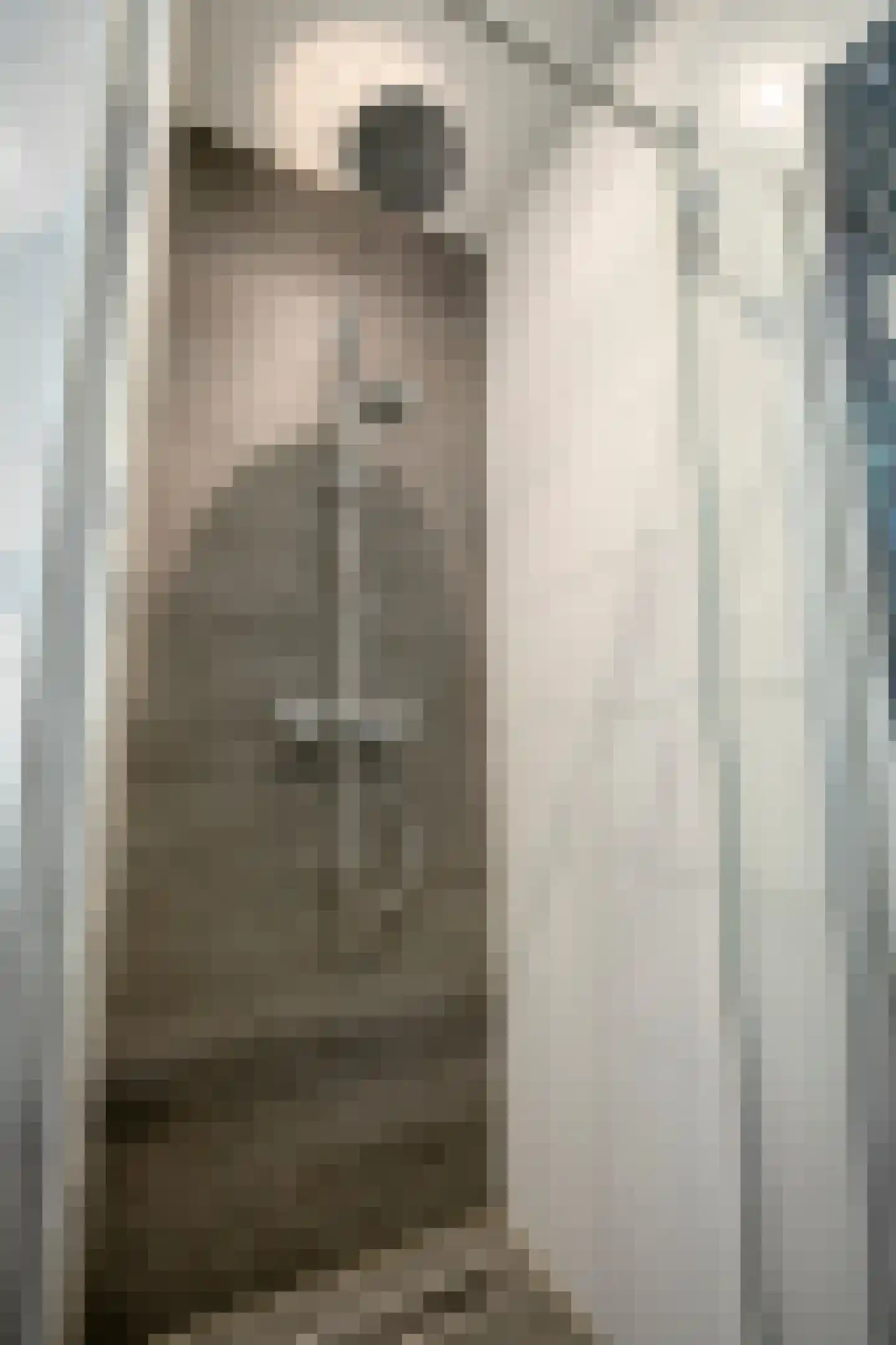 Pastoor Sickingstraat 129 Eindhoven thumbnail 23