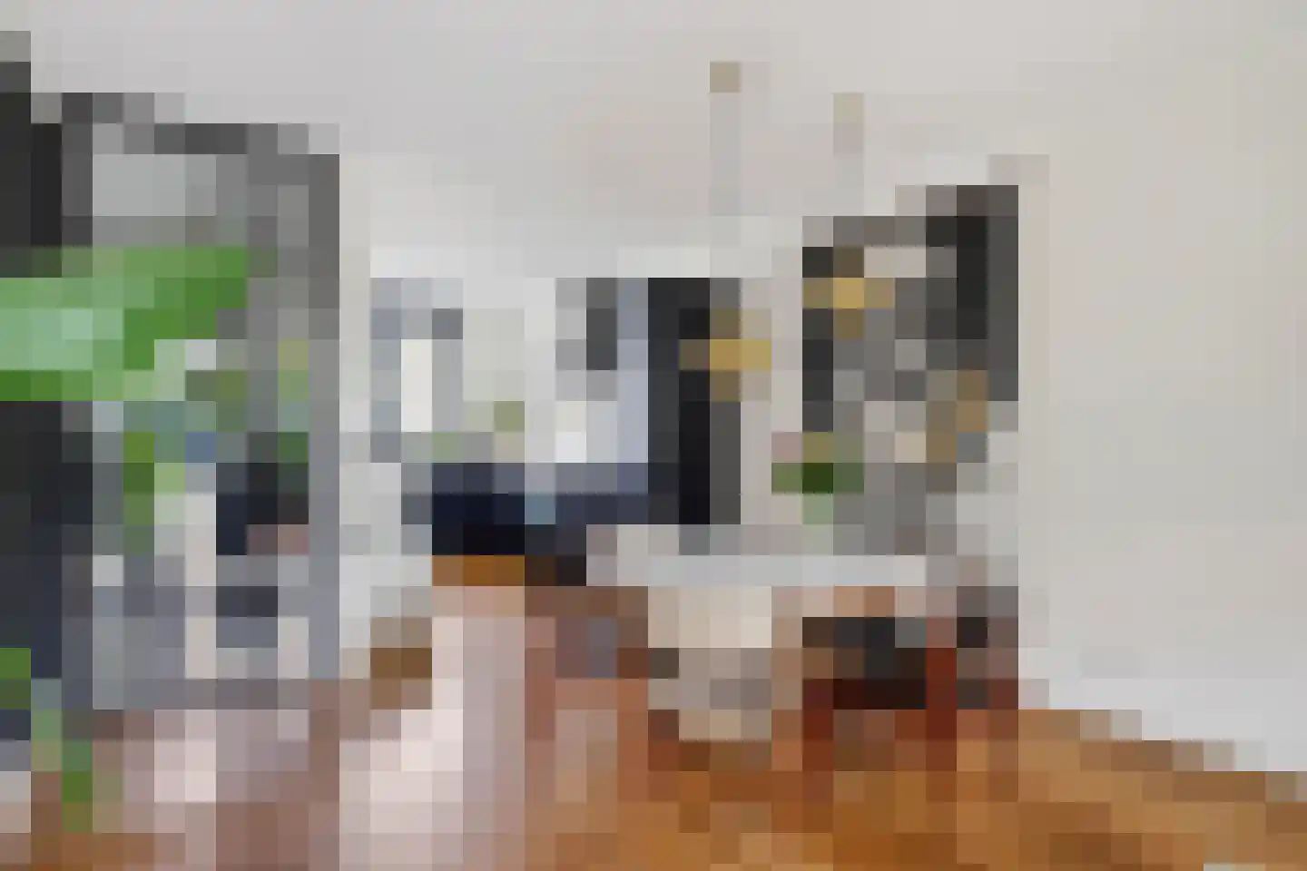 Pastoor Sickingstraat 133 Eindhoven thumbnail 13