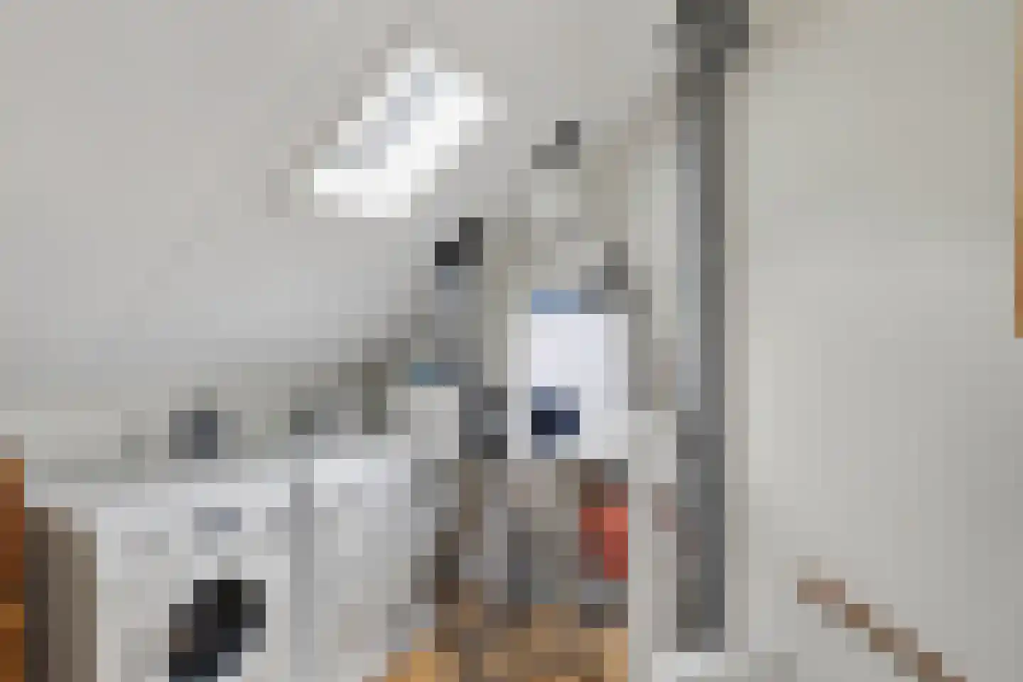 Pastoor Sickingstraat 133 Eindhoven thumbnail 32