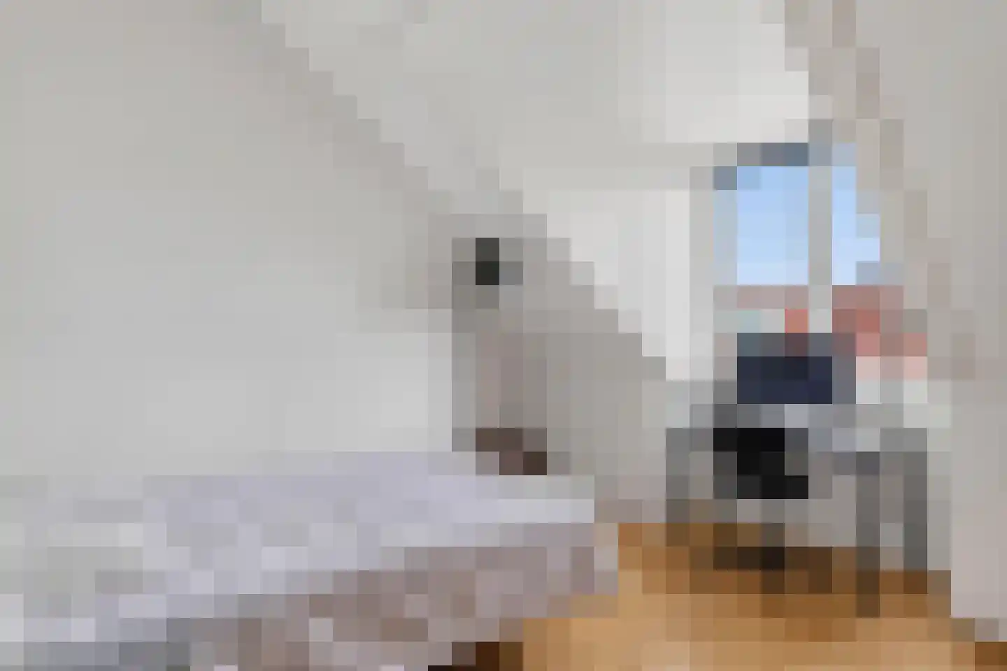 Pastoor Sickingstraat 133 Eindhoven thumbnail 33