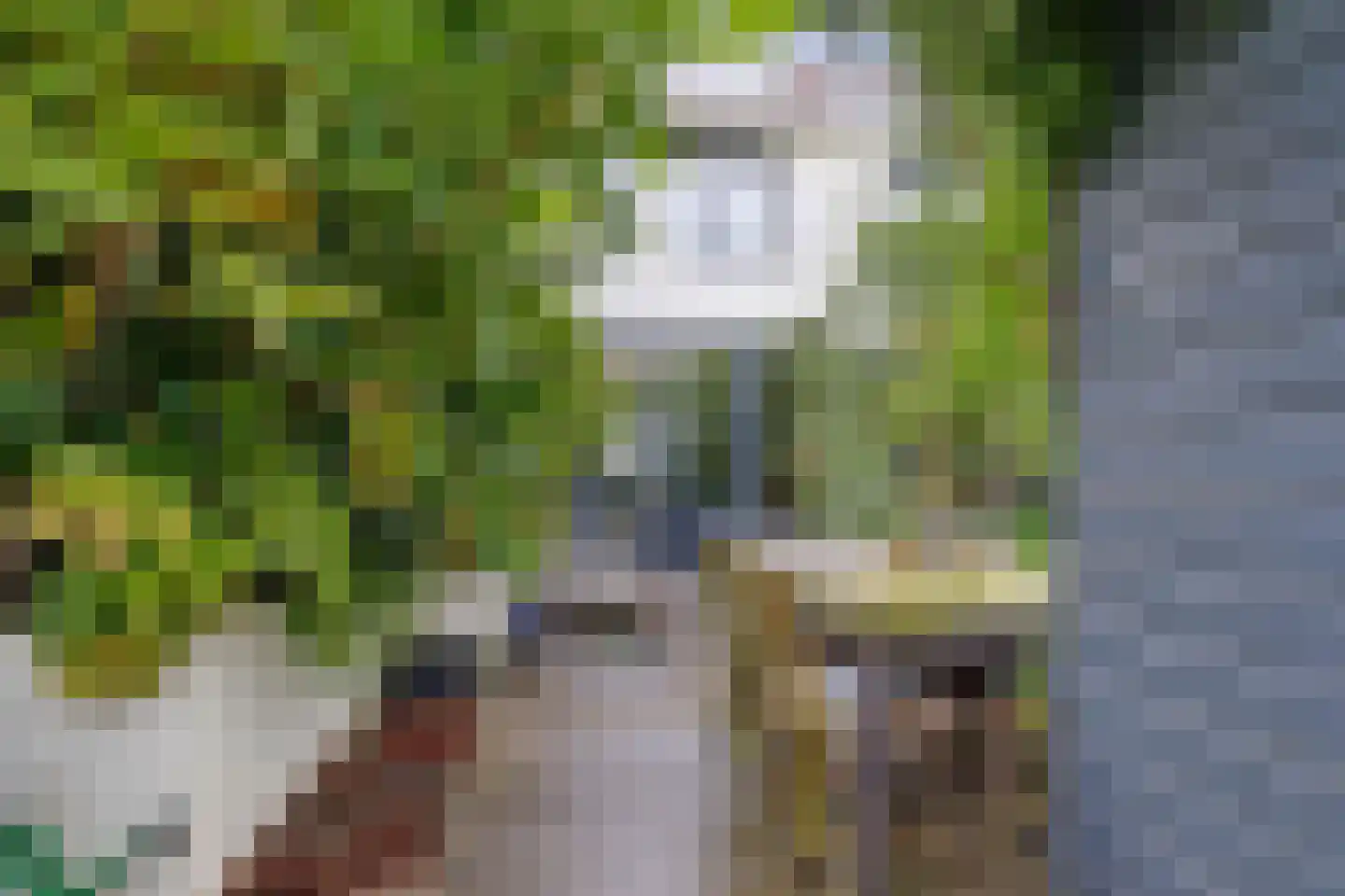 Pastoor Sickingstraat 133 Eindhoven thumbnail 34