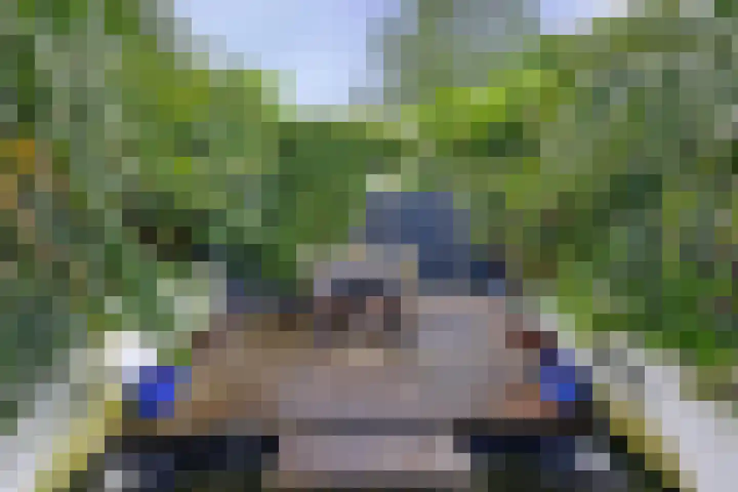 Pastoor Sickingstraat 133 Eindhoven thumbnail 36