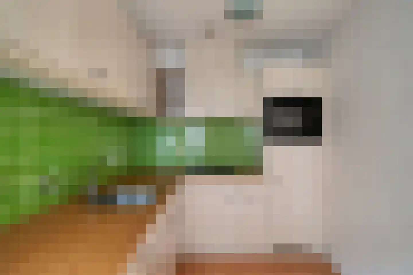 Pastoor Sickingstraat 25 Eindhoven thumbnail 18