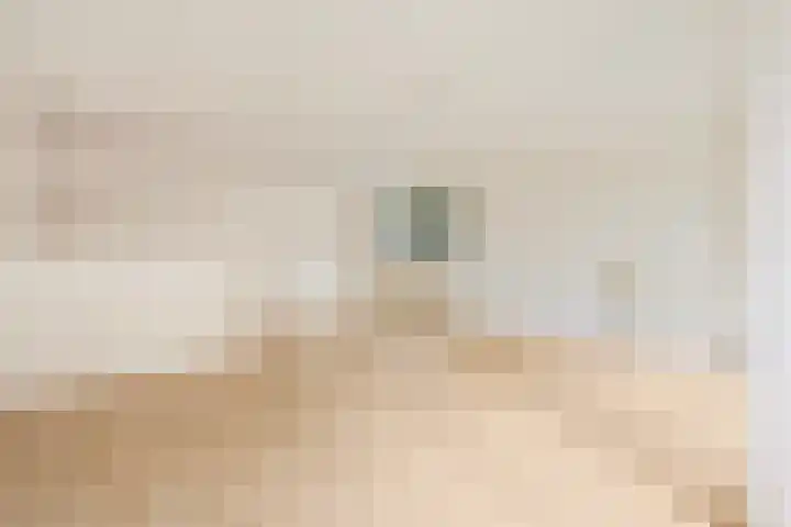 Pastoor Sickingstraat 40 Eindhoven thumbnail 11
