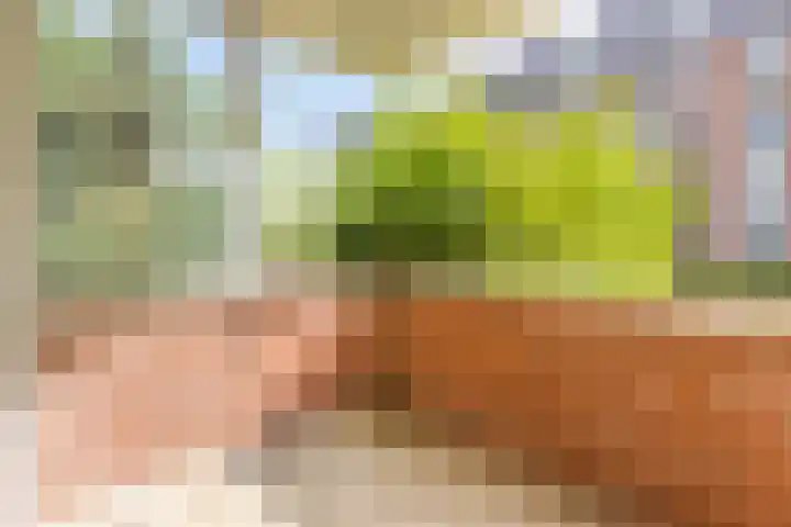 Pastoor Sickingstraat 40 Eindhoven thumbnail 15