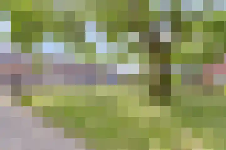 Pastoor Sickingstraat 40 Eindhoven thumbnail 27