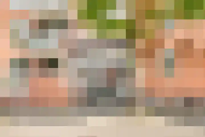 Pastoor Sickingstraat 40 Eindhoven thumbnail 5
