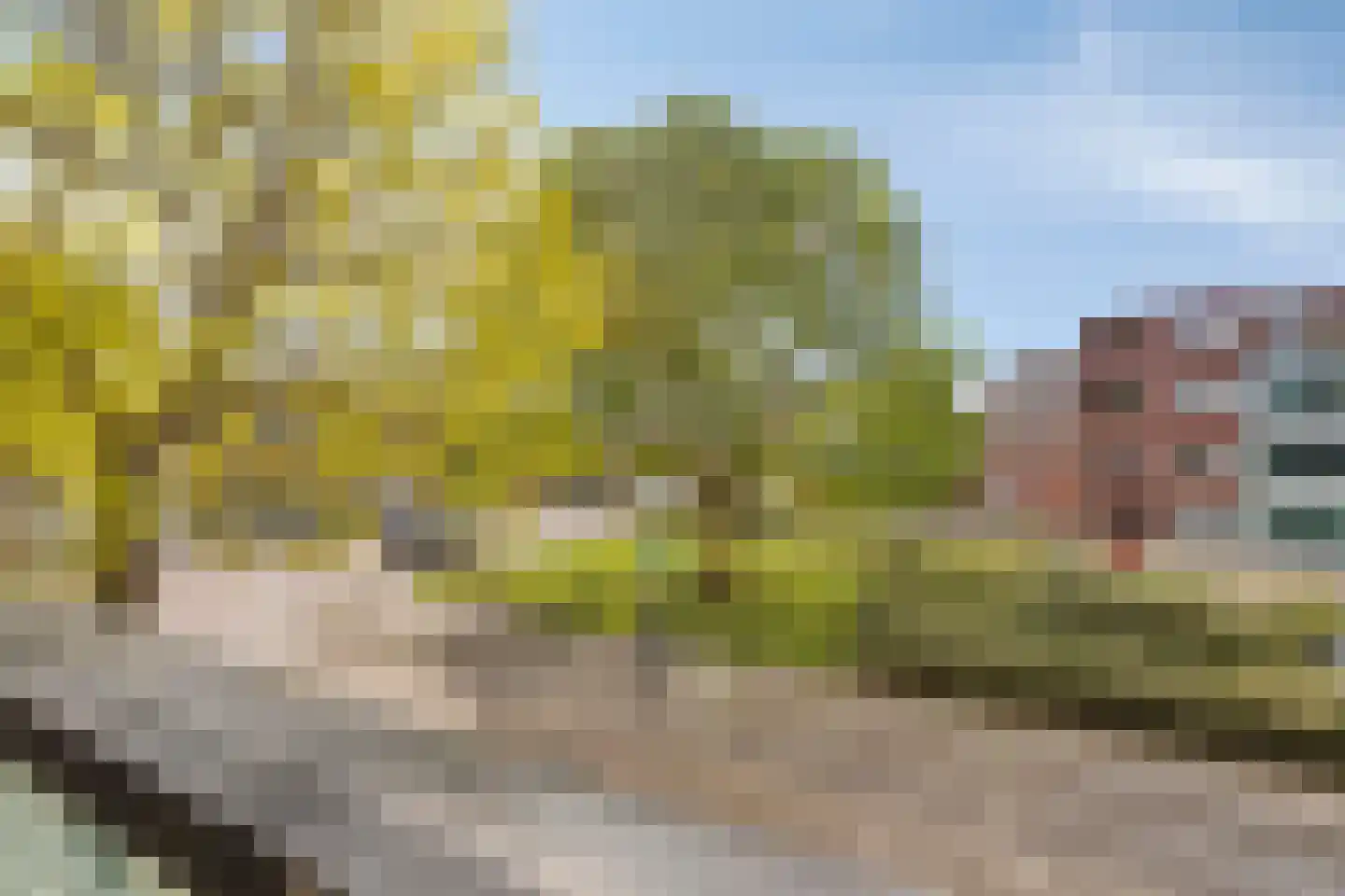 Pastoor Sickingstraat 48 Eindhoven thumbnail 24