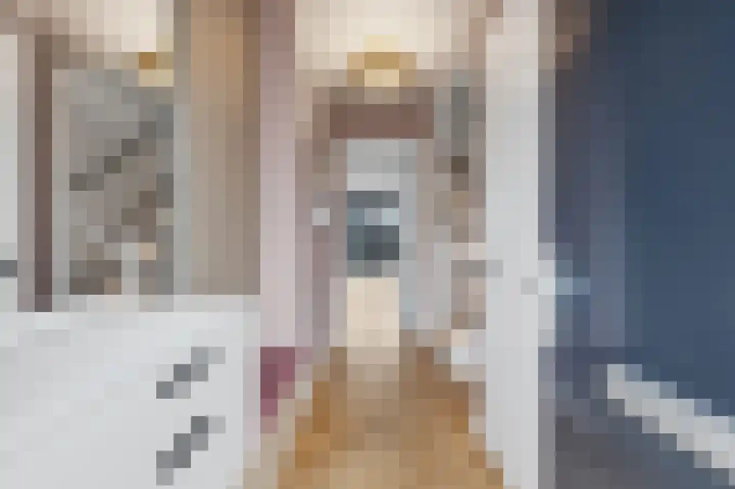 Pastoor Sickingstraat 97 Eindhoven thumbnail 12