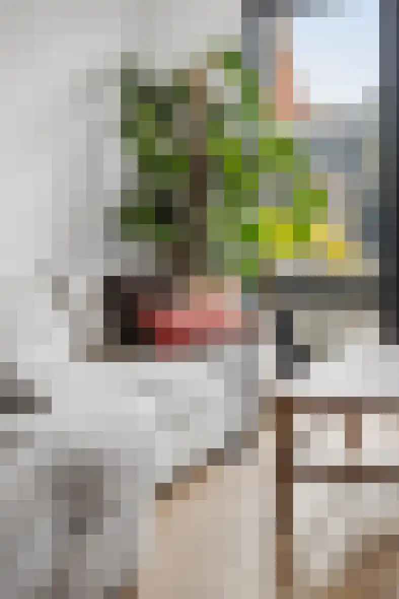 Pastoor Sickingstraat 97 Eindhoven thumbnail 24