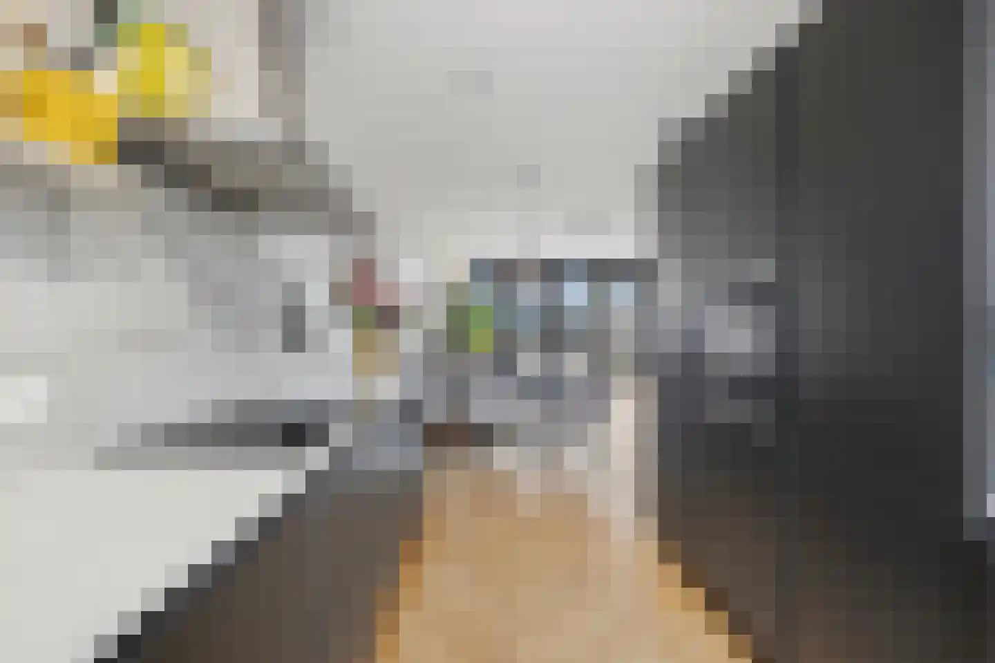Pastoor Sickingstraat 97 Eindhoven thumbnail 30