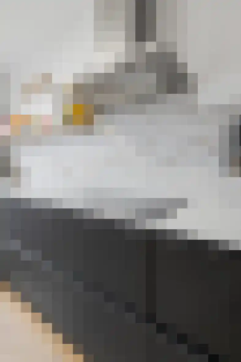 Pastoor Sickingstraat 97 Eindhoven thumbnail 33