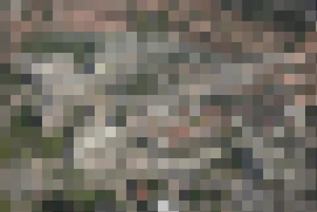 Pastoor Sickingstraat 97 Eindhoven thumbnail 6