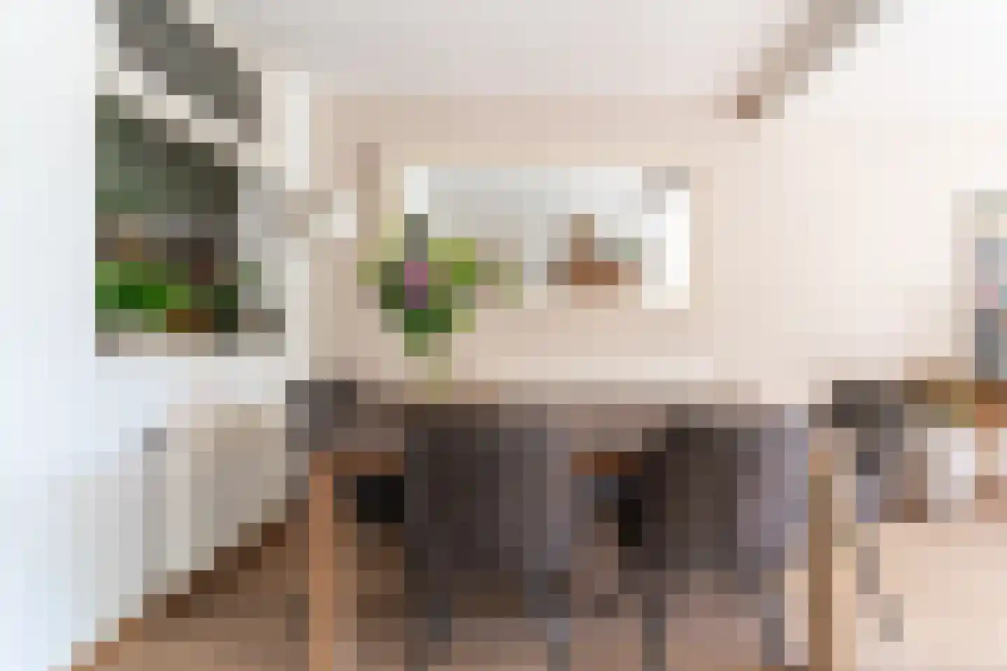 Pastoor Slingerstraat 22 Giesbeek thumbnail 15