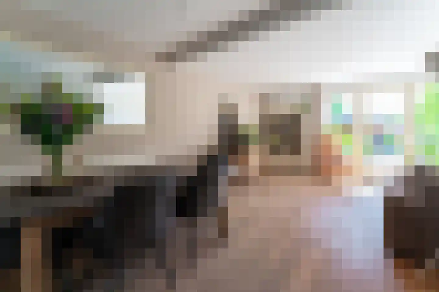 Pastoor Slingerstraat 22 Giesbeek thumbnail 16