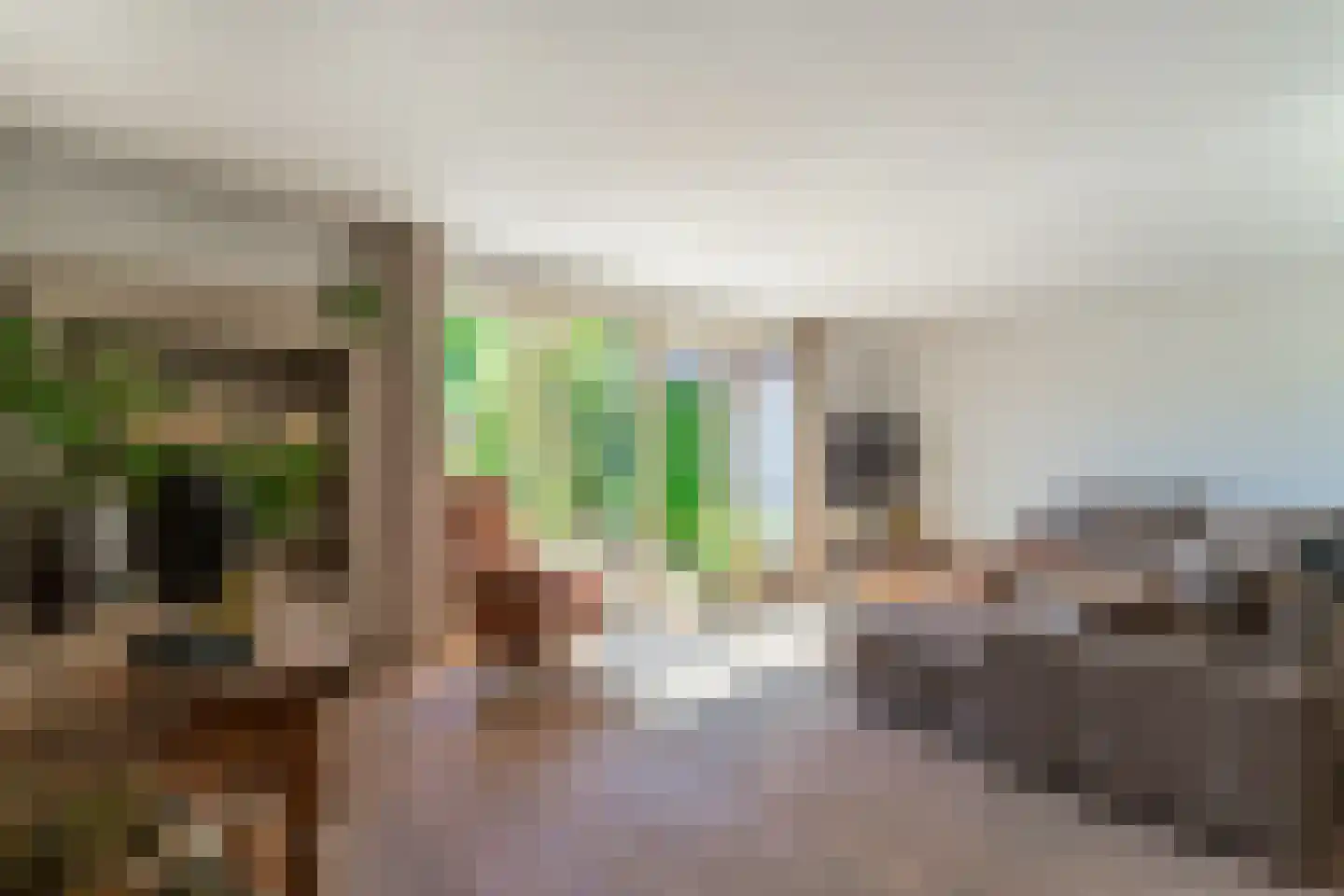 Pastoor Slingerstraat 22 Giesbeek thumbnail 17