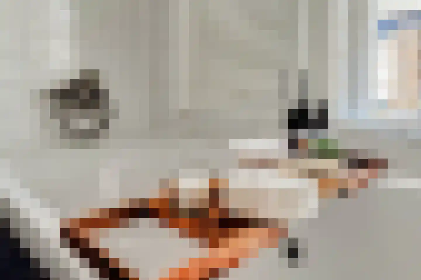 Pastoor Slingerstraat 22 Giesbeek thumbnail 24