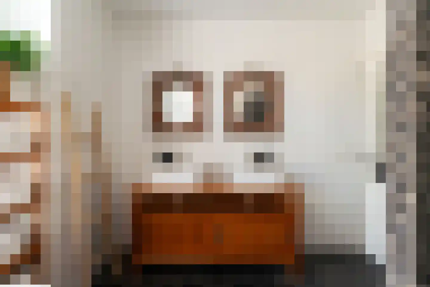 Pastoor Slingerstraat 22 Giesbeek thumbnail 26
