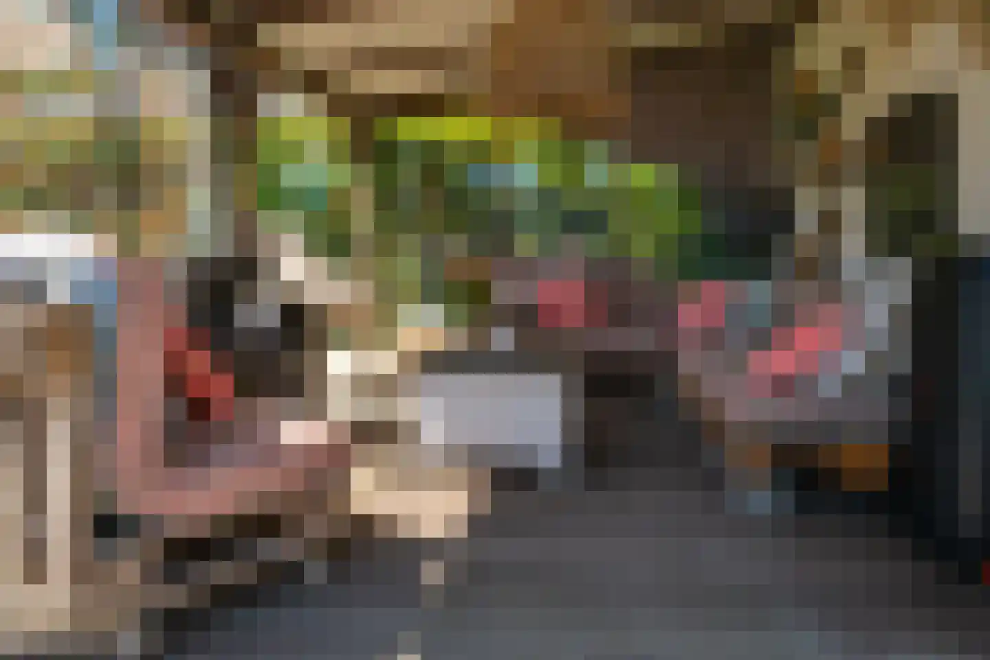 Pastoor Slingerstraat 22 Giesbeek thumbnail 37