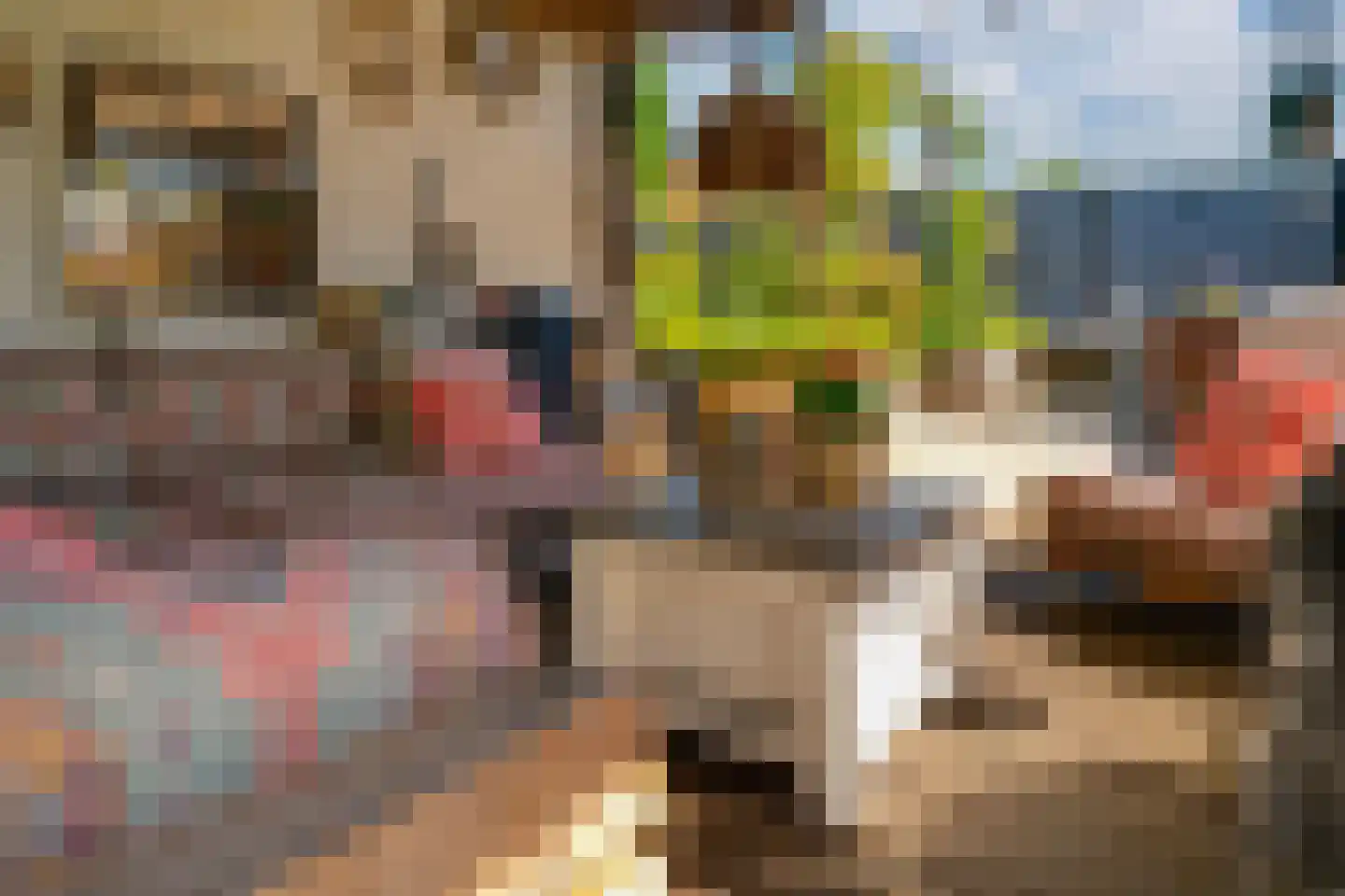Pastoor Slingerstraat 22 Giesbeek thumbnail 38