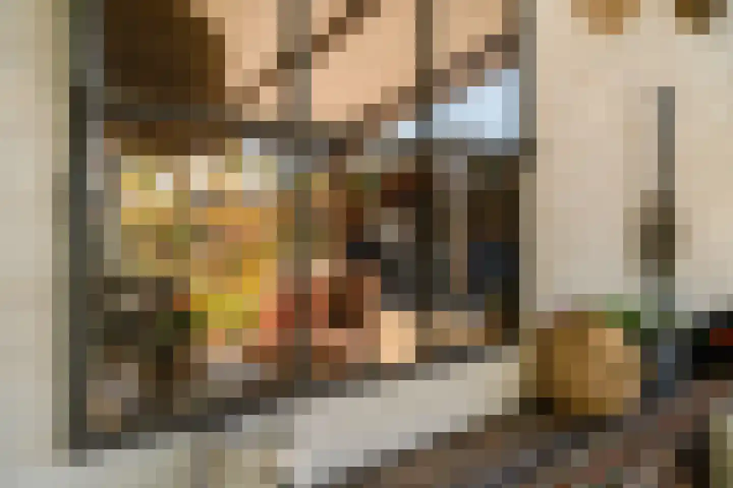 Pastoor Slingerstraat 22 Giesbeek thumbnail 39