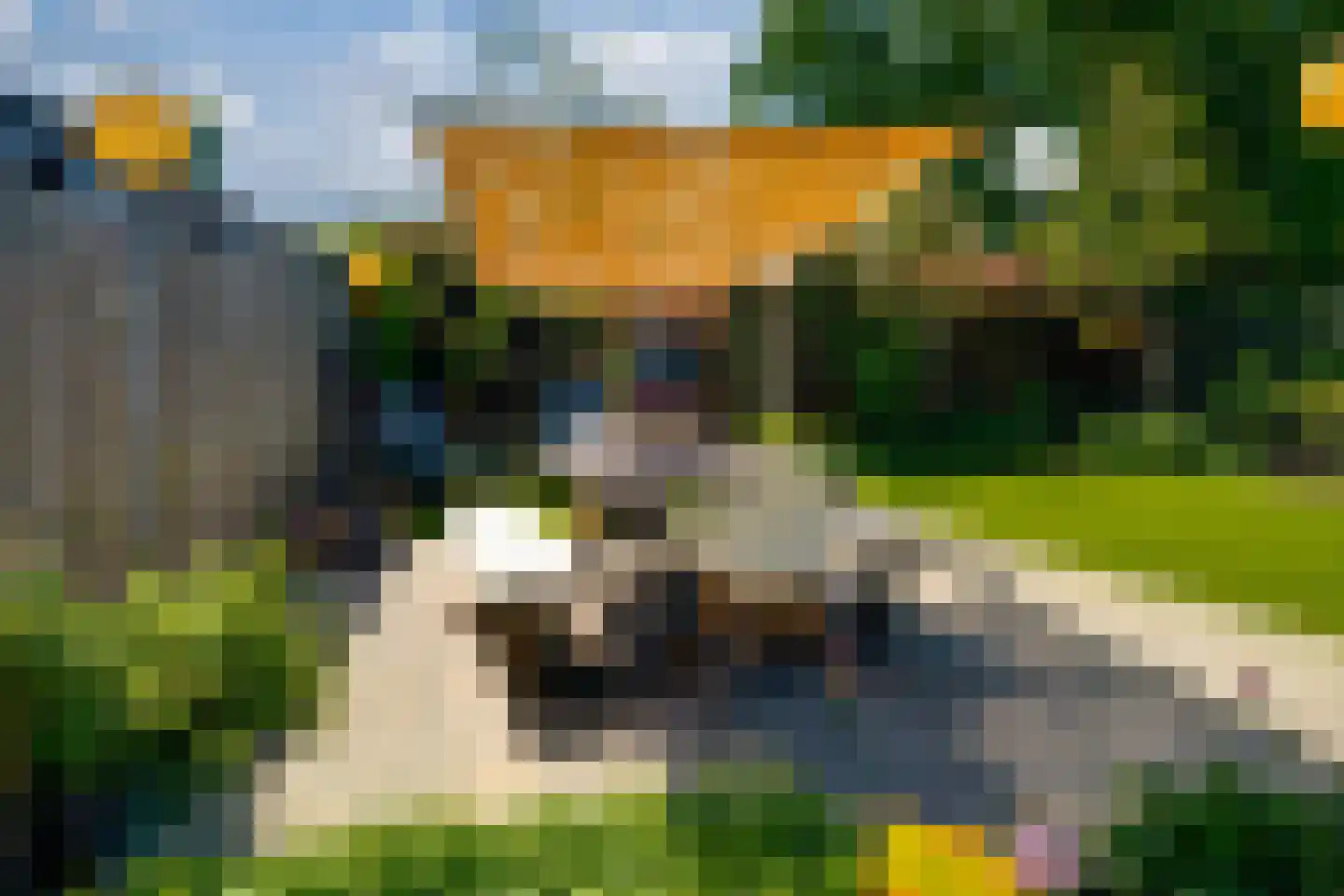 Pastoor Slingerstraat 22 Giesbeek thumbnail 43