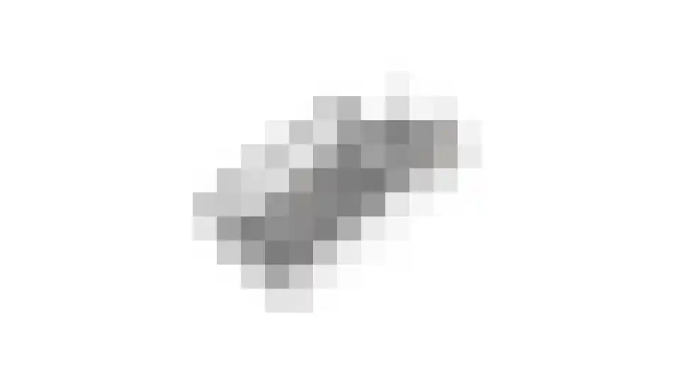 Pastoor Slingerstraat 22 Giesbeek thumbnail 63