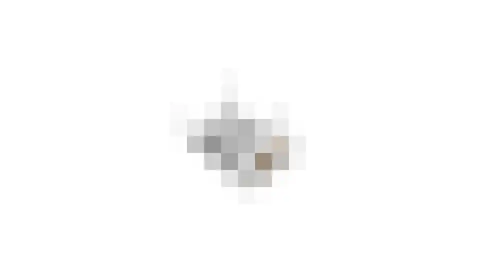 Pastoor Slingerstraat 22 Giesbeek thumbnail 69