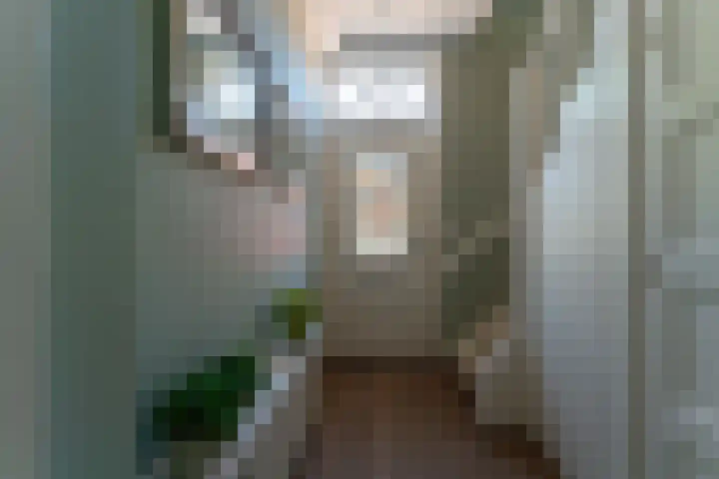 Pastoor Slingerstraat 22 Giesbeek thumbnail 9