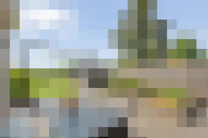 Pastoor Slosserstraat 31 Coevorden thumbnail 38