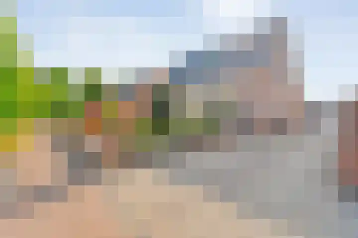 Pastoor Slosserstraat 31 Coevorden thumbnail 4
