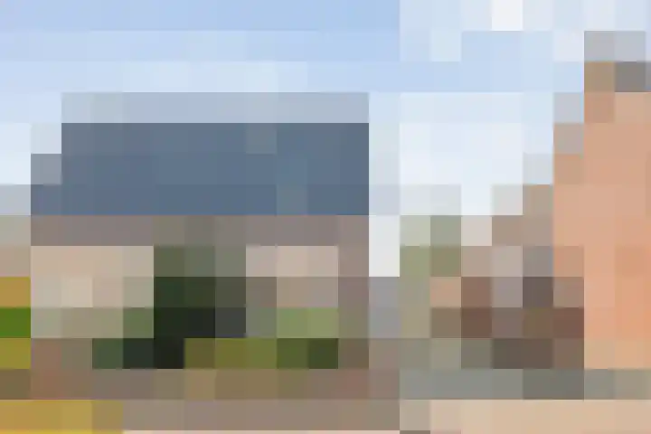 Pastoor Slosserstraat 31 Coevorden thumbnail 5