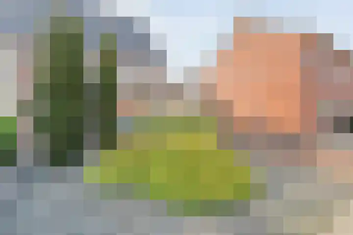 Pastoor Slosserstraat 31 Coevorden thumbnail 6