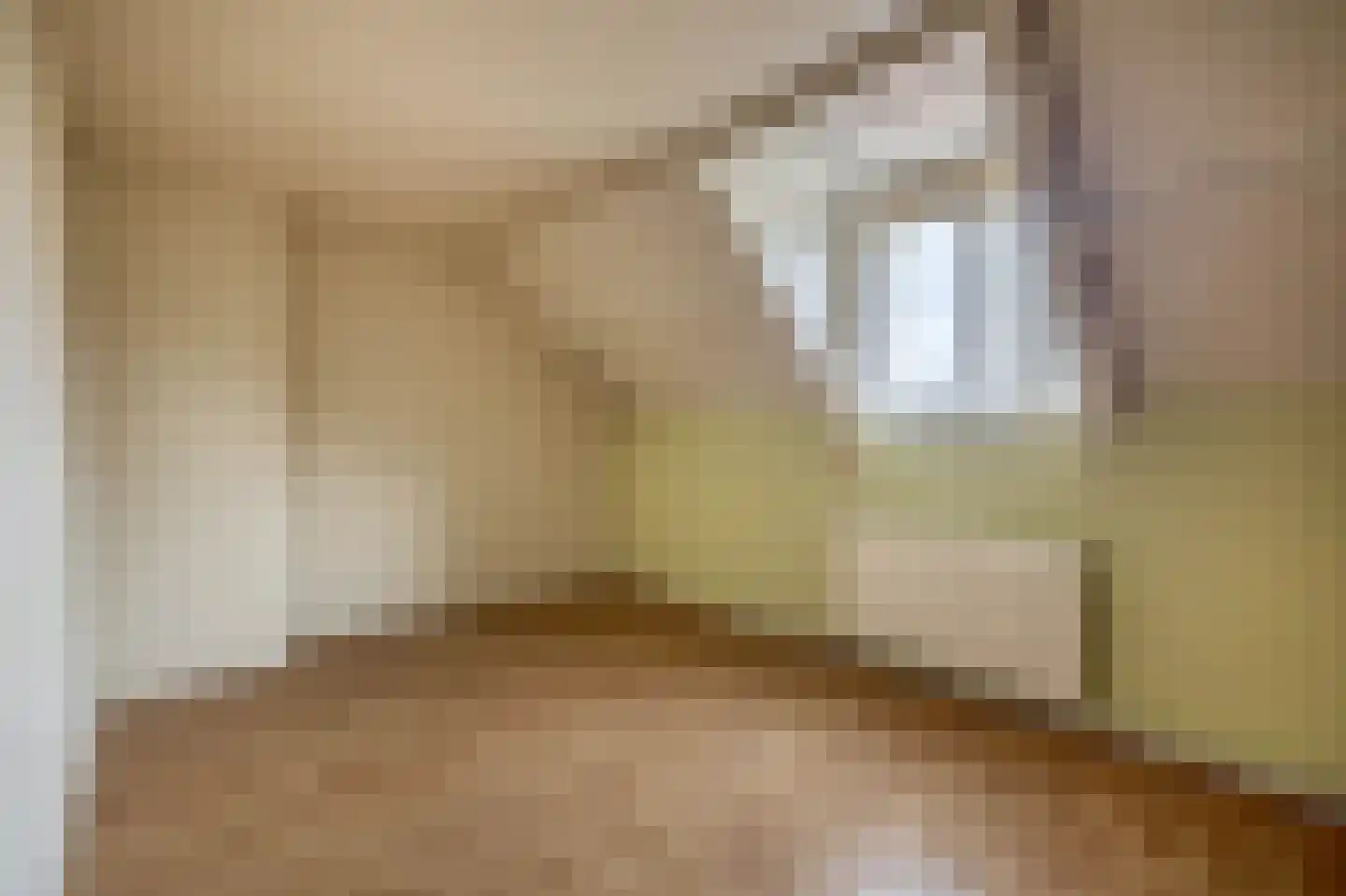 Pastoor Smitsstraat 24 Sint-Oedenrode thumbnail 17
