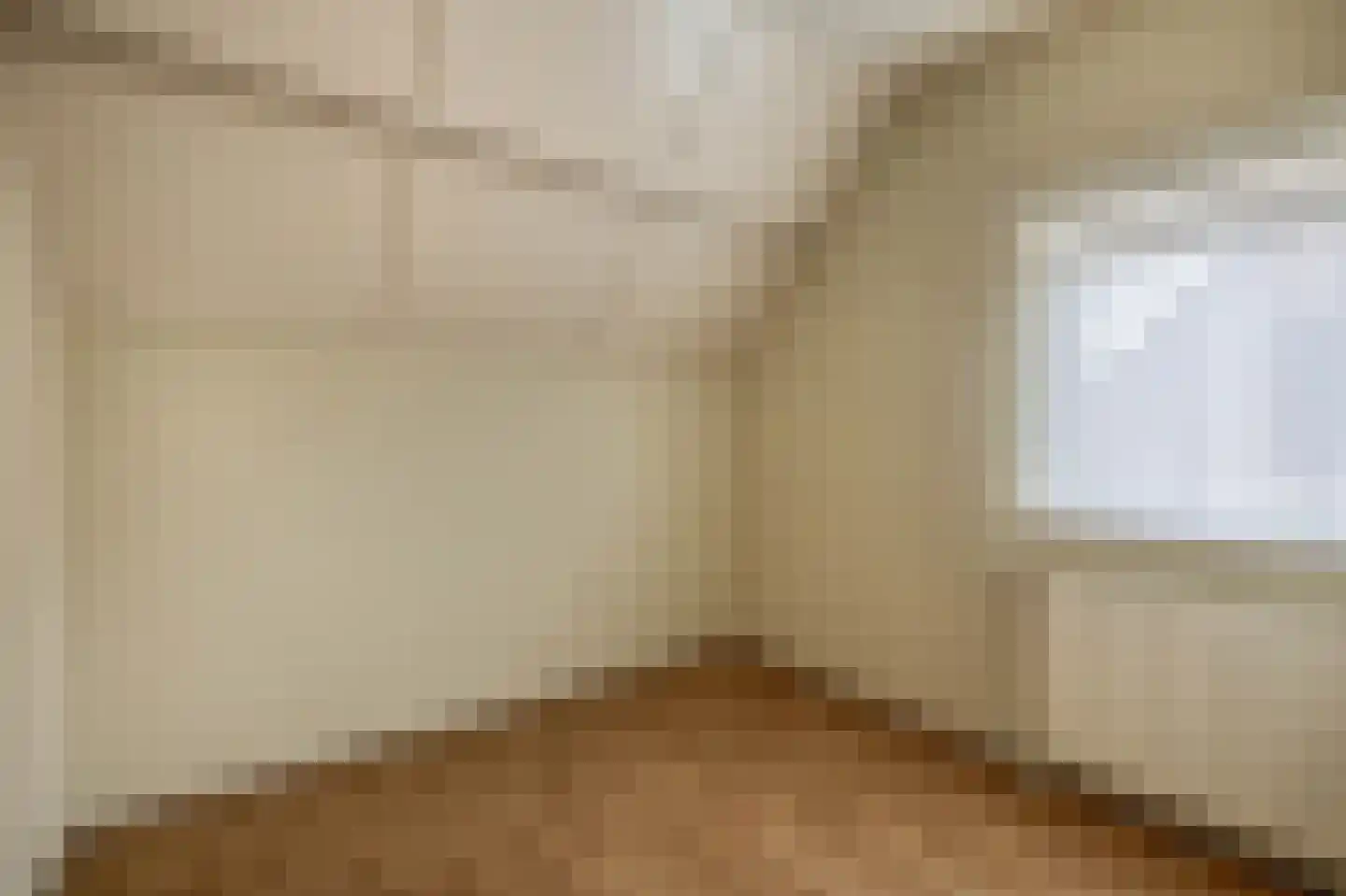 Pastoor Smitsstraat 24 Sint-Oedenrode thumbnail 19