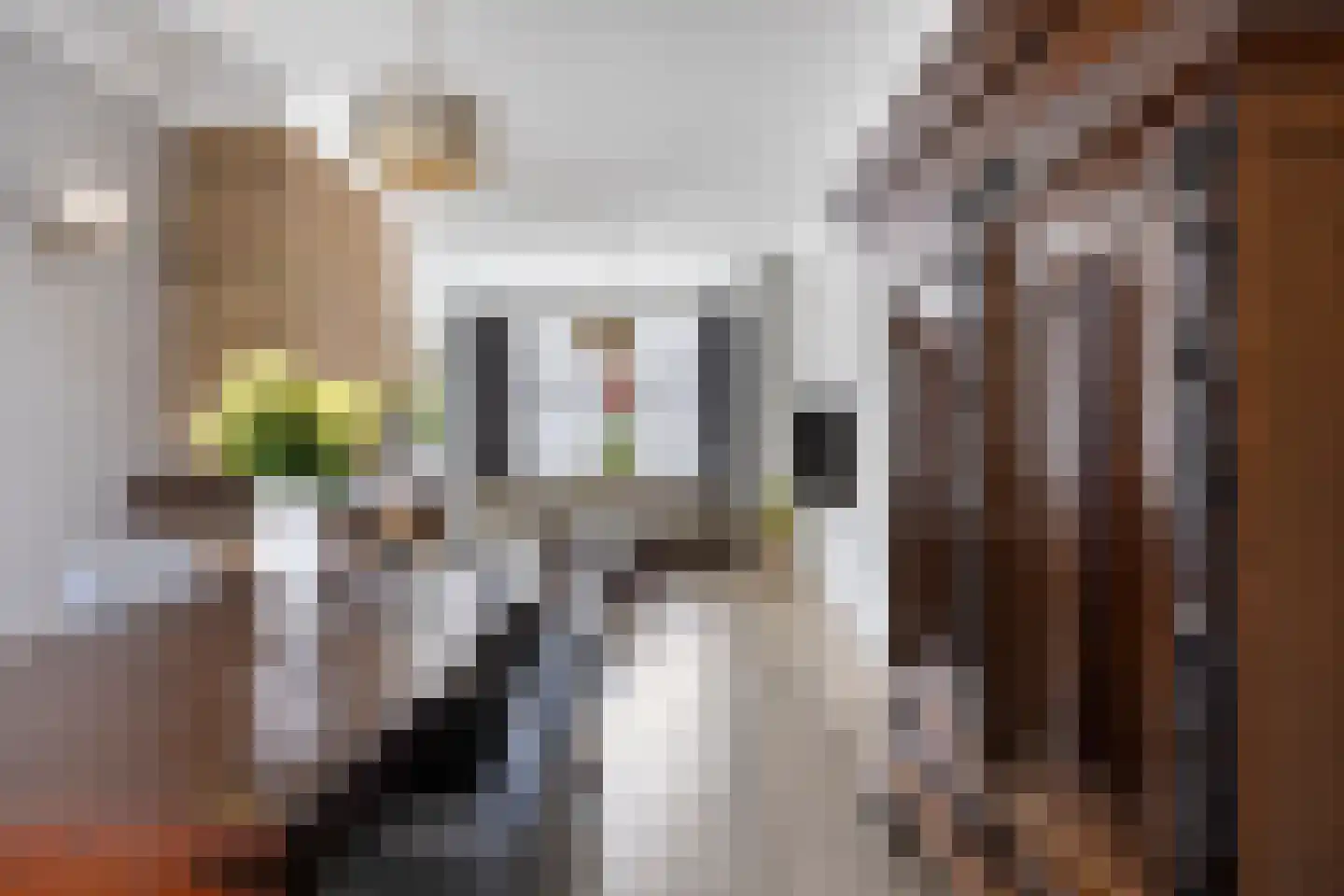 Pastoor Smitsstraat 33 Tilburg thumbnail 16