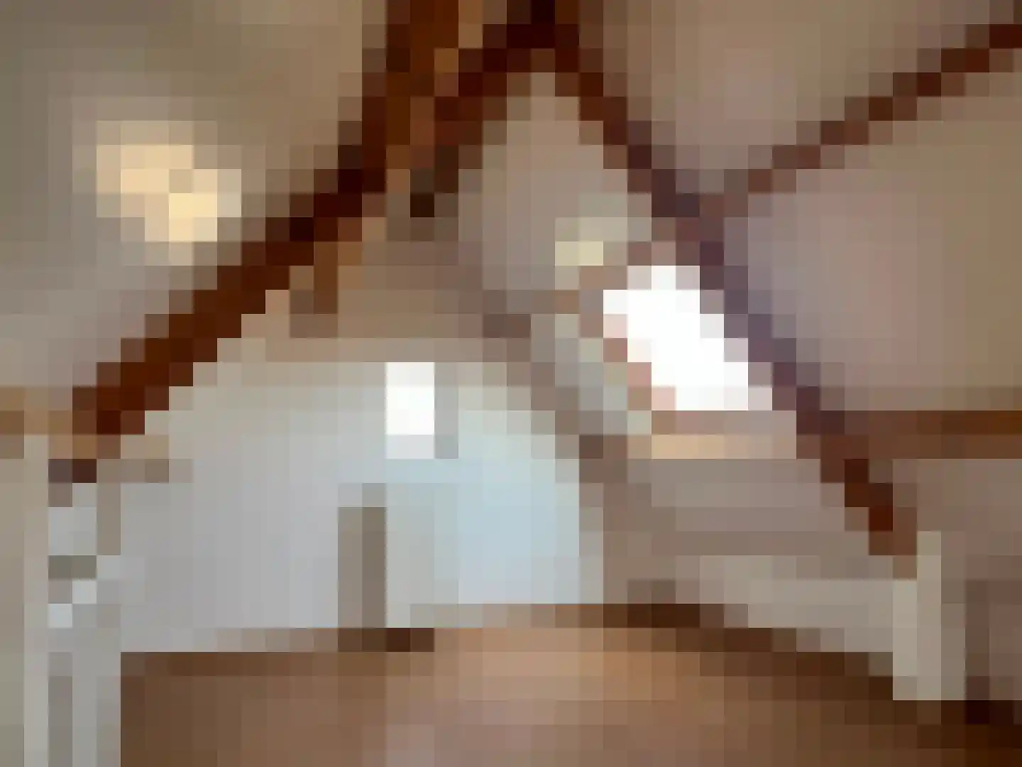 Pastoor Smitsstraat 33 Tilburg thumbnail 31