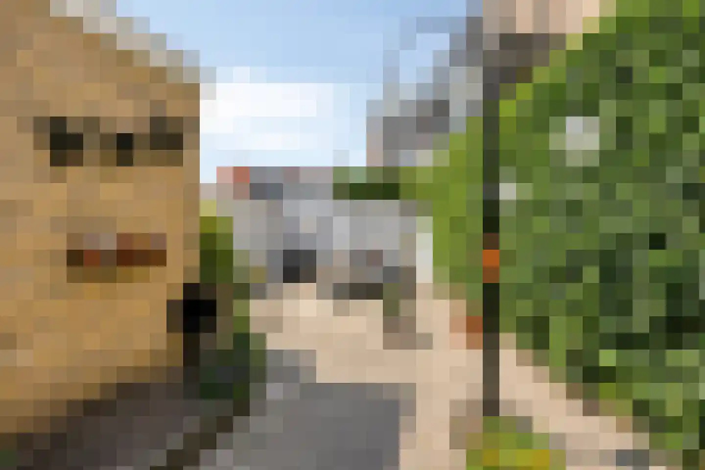 Pastoor Smitsstraat 33 Tilburg thumbnail 34