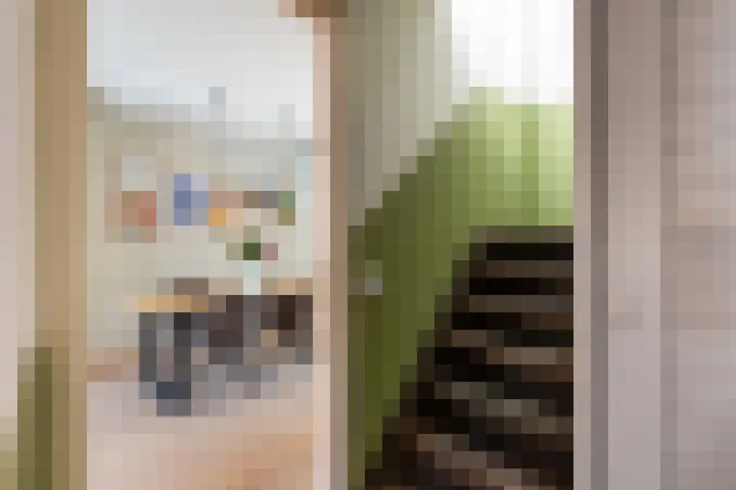 Pastoor Smitsstraat 40 Tilburg thumbnail 18