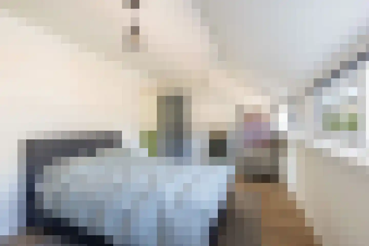 Pastoor Smitsstraat 40 Tilburg thumbnail 21