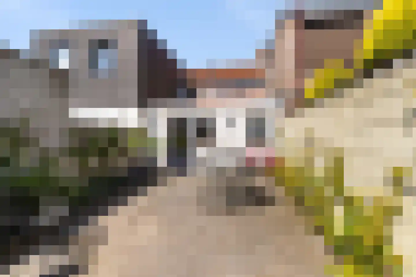 Pastoor Smitsstraat 40 Tilburg thumbnail 26